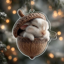 Afbeelding in Gallery-weergave laden, Acorn Dreams
