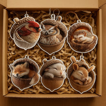 Afbeelding in Gallery-weergave laden, Acorn Dreams
