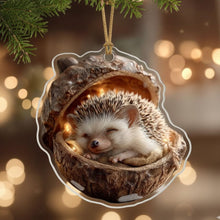 Afbeelding in Gallery-weergave laden, Acorn Dreams
